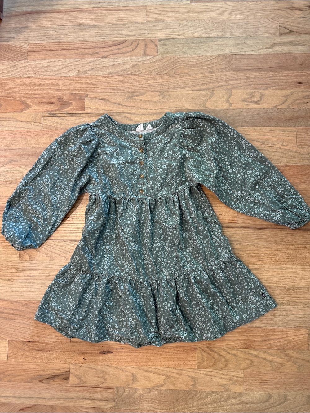 Gap Kids Girls Floral Tiered Long Sleeve Dress Green Size M 7/8